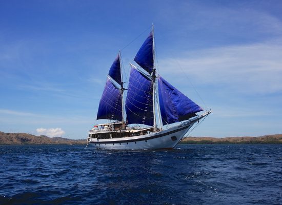 In the wake of Alfred Wallace: Cruise Indonesia