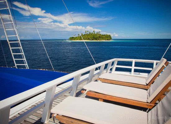 SeaTrek The Jewels Of Raja Ampat With Dr Joe Mueller (Sorong-Sorong)