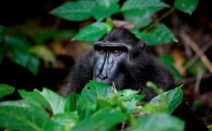 Wildlife Tours